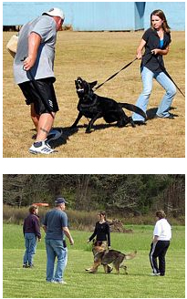/i/training/training.jpg