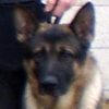 PSD Quincy